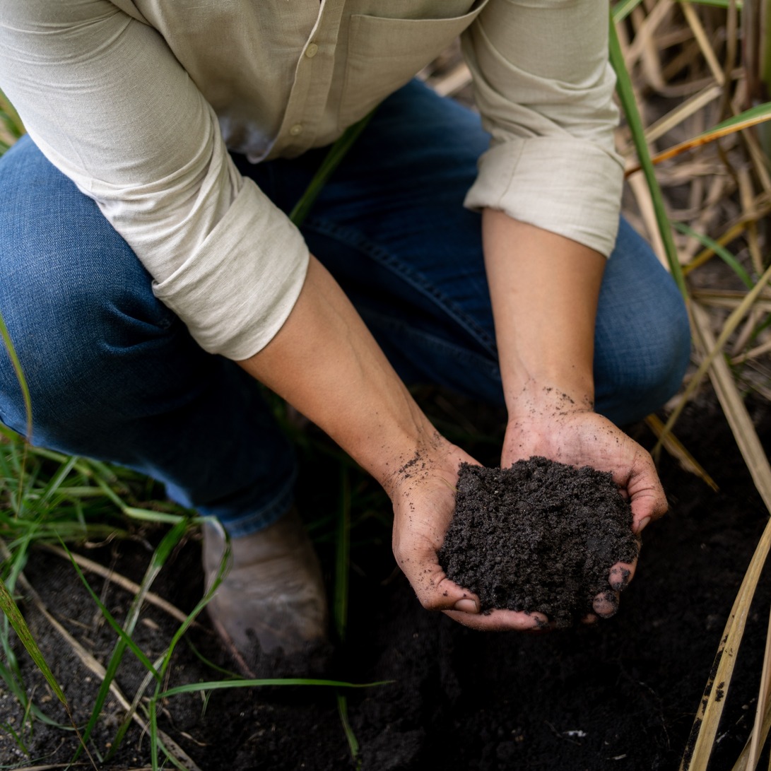 Farm Shoot B-Roll Stills