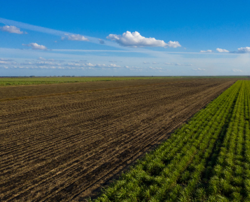 Taste the Goodness Grown on Our Family-Owned Farms