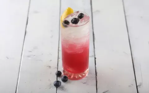 BlueberryFizz
